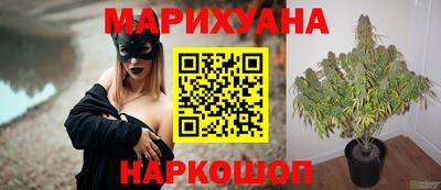 стаф Чебаркуль